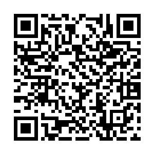 另一只手也会成拳直接朝着龙王的小腹轰砸了过去二维码生成