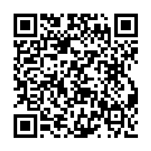 另一只手慌乱地按向林伯血如泉涌般的颈间伤口二维码生成