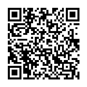 另一只手猛的一拍魏燕示意她快点将聚阴珠给收起来二维码生成