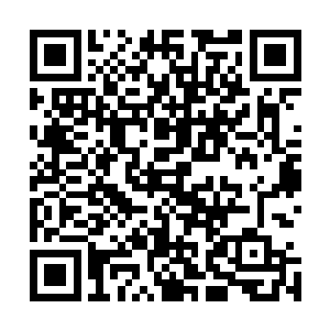 另一只手紧跟着如附骨之蛆般对着青语握刀的手腕拍了上去二维码生成