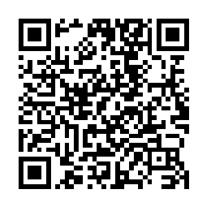 另一只素白如葱削的手悄无声息地靠近晋王殿下雪白颈项二维码生成