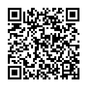 另一名也在叙利亚边境城市晃悠了回来的金雕更无奈二维码生成