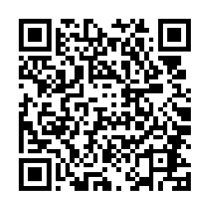 另一名身材看来结实的少年则站在了摊子旁边的板凳上二维码生成