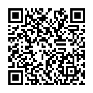 另一手干脆就抓起了那个台灯……准备拿来打对方二维码生成