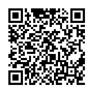 另一手的金刚鞭却朝着曹仁的胸口猛然怼了过去二维码生成