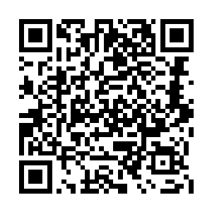 另一方面是因为如今仙界只剩下了三个浩劫裂缝二维码生成