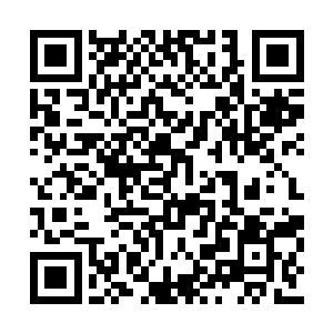 另一方面是因为演员和制片公司进行谈判的时候二维码生成