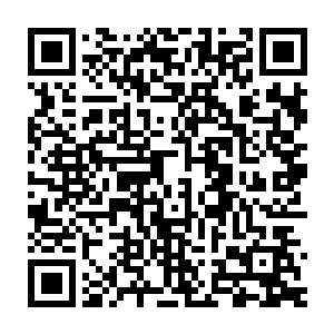 另一朵比帽子上那朵更耀眼的黑色玫瑰则别再右边脖子竖起的衬衣领上二维码生成