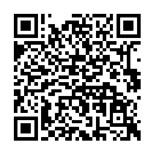 另一条路就是你们影响不了你们的家族或者宗门二维码生成