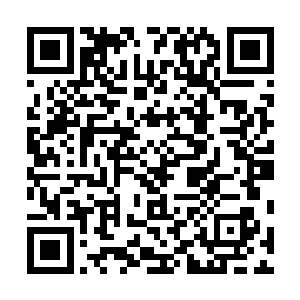 另一辆奥迪车上的裴洪刚一看欧阳志远打了苗海洋和吕强二维码生成