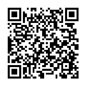 另一边女国王就已经在哪锃亮崭新的汤锅里加入了二维码生成