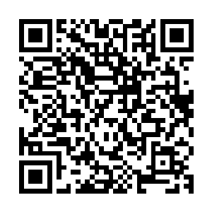 另一边有了对抗的主心骨这后宫就不再是自己母亲一人说的算了二维码生成