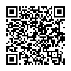 另一边的包子小丫鬟在前一个浪的时候就已经被拍到岸边了二维码生成