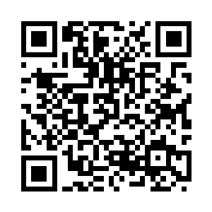 另一道视线毫无征兆的连接了绿影二维码生成