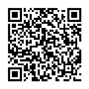 另一部分就是被那个副会长贪污挪用的山妙堂的公费二维码生成