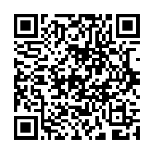 另一部分水域着仰着兽族一些特殊兽类需要的食物二维码生成