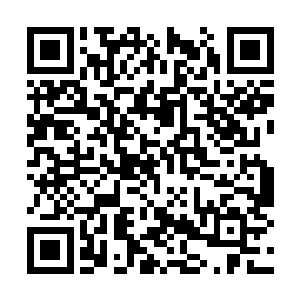 另加缺失记忆问题怎样都是只发生在小部分人身上二维码生成