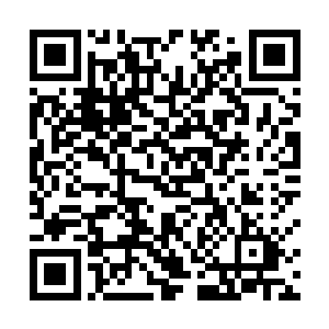 另外一个刚才企图夺取顶级神器被几个人围攻而陨落了二维码生成