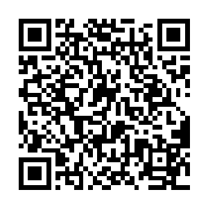 另外一个原因就是血腥玛丽的出现让苏凡兴奋起来了二维码生成