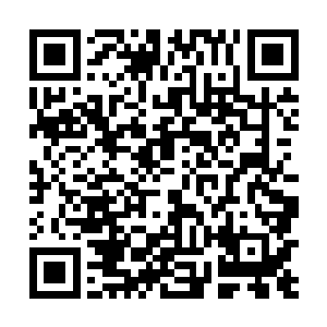 另外一个原因当然是因为钟姐还是一位风韵犹存的女人二维码生成