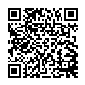 另外一个被我踢了两次裆部的家伙则是干脆侧卧在地上一动不动二维码生成