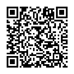 另外一个黑袍老人也不再挥散出可以夺人性命的棋子二维码生成