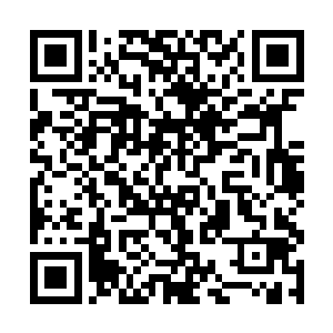 另外一个龙将则是当着所有人的面在赌斗台上击杀的二维码生成