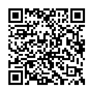 另外一人则是统领楚国水军的泛海军首领郑元德二维码生成