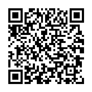 另外一份傅总管虽然没搞到崔智敏的dna样本对照二维码生成