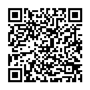 另外一半则是公开选拔录取的幽州本地的杰出少年二维码生成