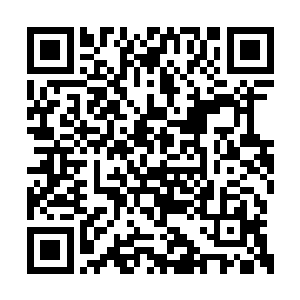 另外一只手又扯了扯身上那件小厮穿的青布直裰二维码生成