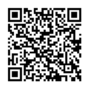 另外一只手正拉着一个小美女的小手给人看手相二维码生成