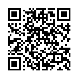 另外一名梦境护卫者似乎不愿意掺和二维码生成