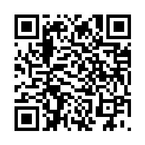 另外一拨人马也进入了暗之森林当中二维码生成