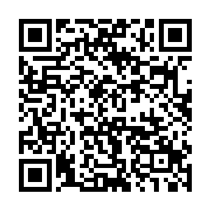 另外一支天环舰队正在我们的撤退路线上等着包饺子二维码生成