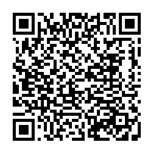 另外一边天心还有剑痴也是死死的缠住了另外的一个罗天上仙初期的强者二维码生成