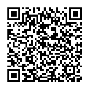 另外一边武家的金袍老者望向陈家老者的脸上也闪过了一抹愤怒的神情二维码生成
