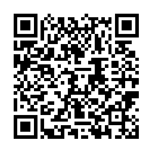 另外一部分原因就是龙战把肉糜弄的实在是太烂了二维码生成