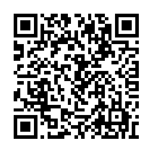 另外两万旋凤精兵和十几万的灵凤将士都在惠州二维码生成