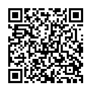 另外两个一个封神初期顶峰的幻月魅狐一个封神中期飞天黑虎二维码生成