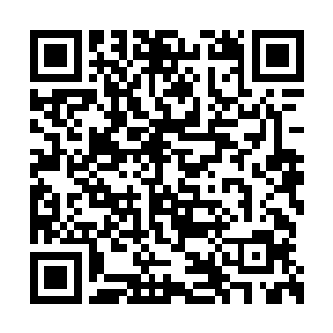 另外两个菜鸟只需要跟着清理那些机器人就行了二维码生成