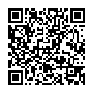 另外两位传奇宗师在秦宇出手的刹那脸色也是变了二维码生成