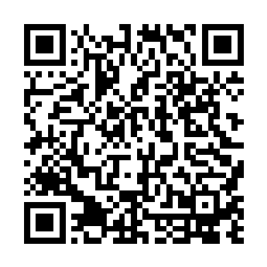 另外主导我们人体一切新陈代谢生理活动的就是生物电二维码生成