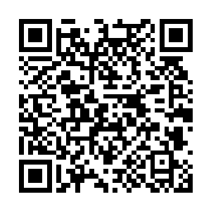 另外五颗却是化作了灰白色如同蜂窝岩石般的存在二维码生成