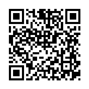 另外兄弟们可以关注一下蜜蜂公众号二维码生成