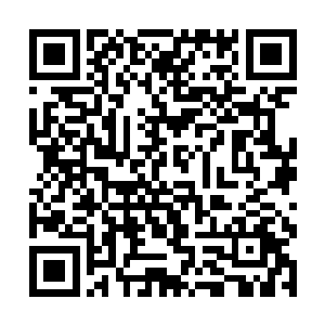 另外几只七阶魔兽的目光则是紧紧的盯着朗姆吉尼斯二维码生成