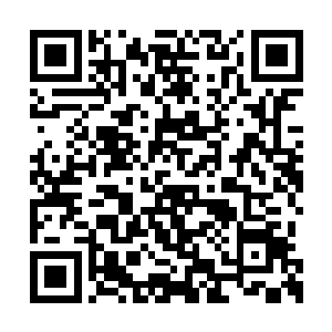 另外十九位帝王陵墓或毁于战乱或被盗墓贼洗劫二维码生成