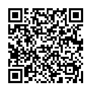另外唐虎和陈风这两个和姜雅一样的秘密武器也都没事二维码生成