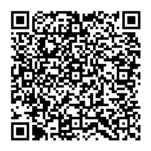 另外唯一的方法就是利用这万能魔方来熔炼之前在庇护所世界和刚刚跟幽山十妖战斗时所收集到的战利品二维码生成