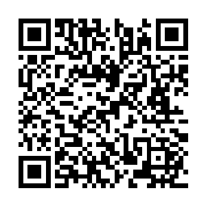 另外对于哨兵交班的时间表也应该随时随情况更新二维码生成